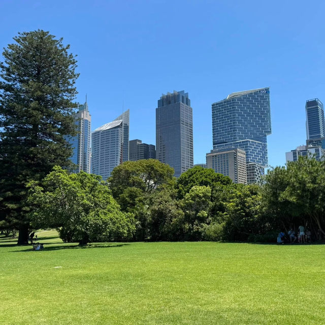 Tranquility in the Heart of Sydney: The Royal Botanic Gardens