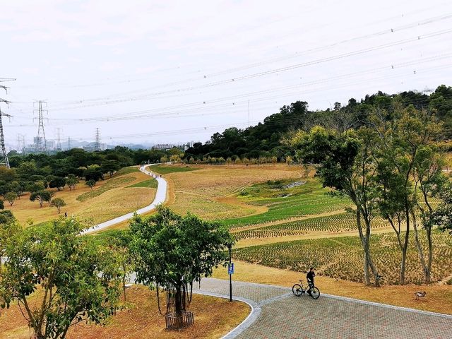 陌上花園浪漫花海