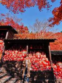 楓葉勝地勝尾寺❤️🔥大阪行程攻略🥰