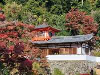 紅楓季漫遊日本箕面山〔瀧安寺〕，隱藏在山林間的絕美秘境