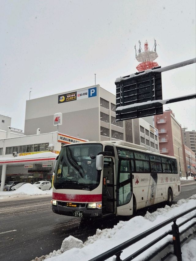사진눈폭탄 삿포로