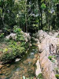 Paku Rock Maze Garden: A Nature Lover’s Puzzle