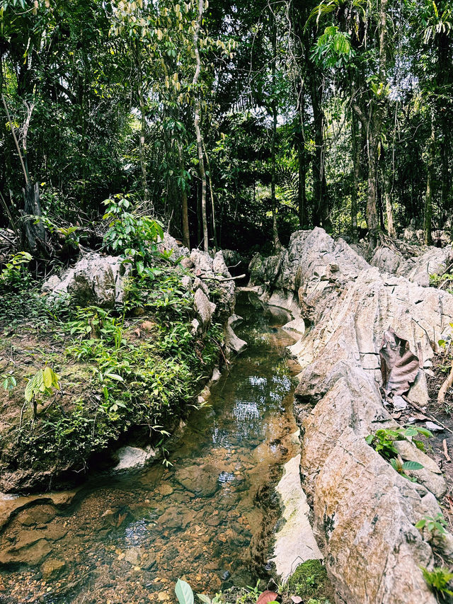 Paku Rock Maze Garden: A Nature Lover’s Puzzle