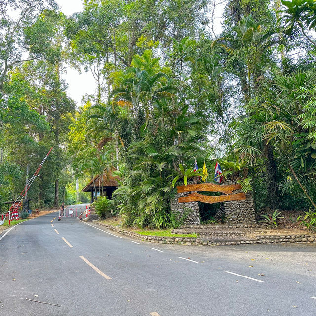 นั่งชิล🪑 ชมปลา ที่น้ำตกตรอกนอง จันทบุรี