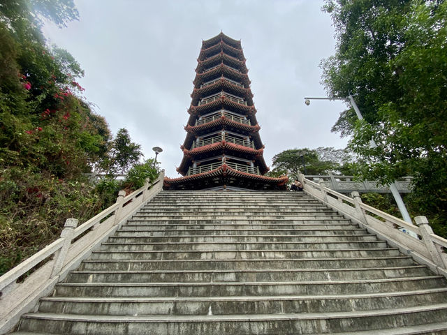 深圳景點推薦✨ 紅花山公園🏞️💕