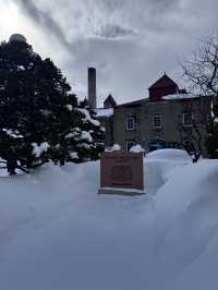 How to spend 5 days in Sapporo