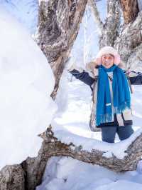 Snow valley