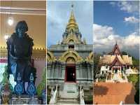 เช็คอิน@ดอยแม่สลอง