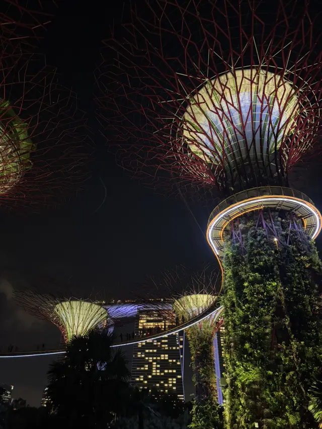 แนะนำสถานที่ท่องเที่ยวที่ Gardens by the Bay!