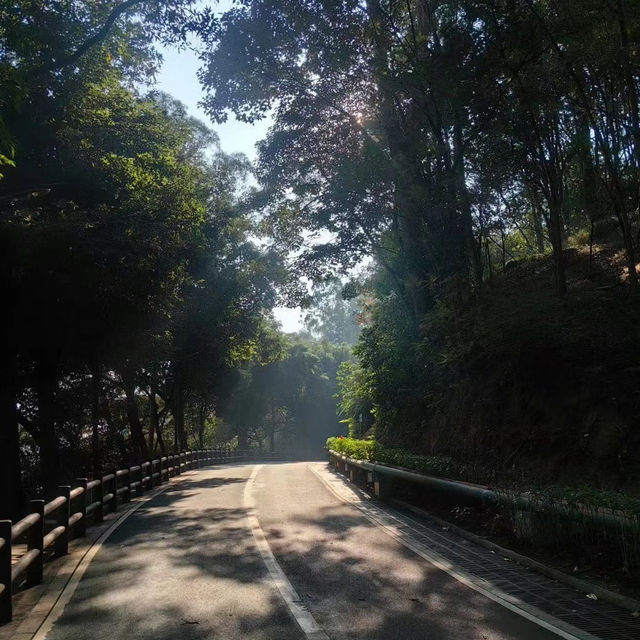 雲溪生態公園•好山好水
