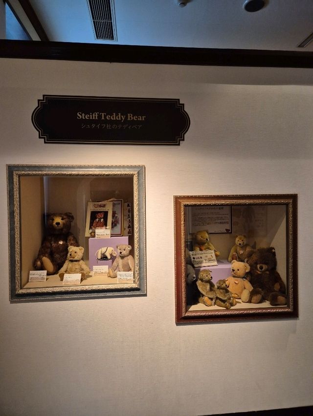 Teddy Bear Kingdom 🐻🧸