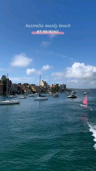 Australia Summer beach in Manly