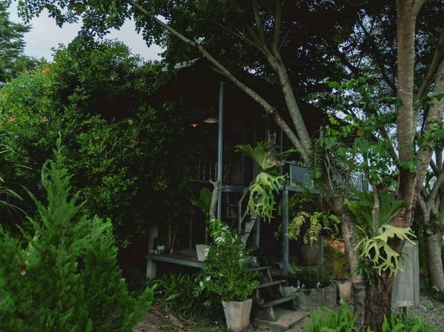 เมาเขา คอฟฟี่ เชียงราย  ⛰️