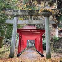 南公園-城市中的綠意