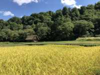 【岐阜】白川郷で秋満喫プラン
