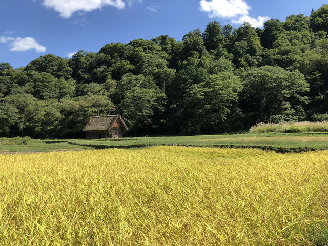 【岐阜】白川郷で秋満喫プラン