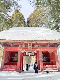 長野景點| 户隱神社(奧社) ~ 白雪中的杉樹林太美了！