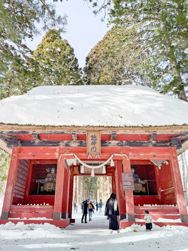 長野景點| 户隱神社(奧社) ~ 白雪中的杉樹林太美了！