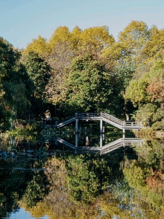 Quyuan Fenghe