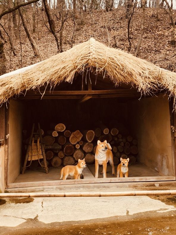 A Budget-Friendly Dive into Korea's Past: Korean Folk Village Review