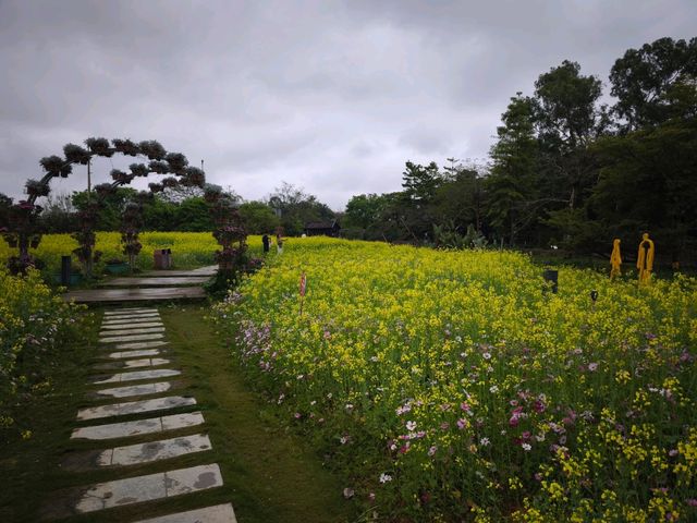 花海