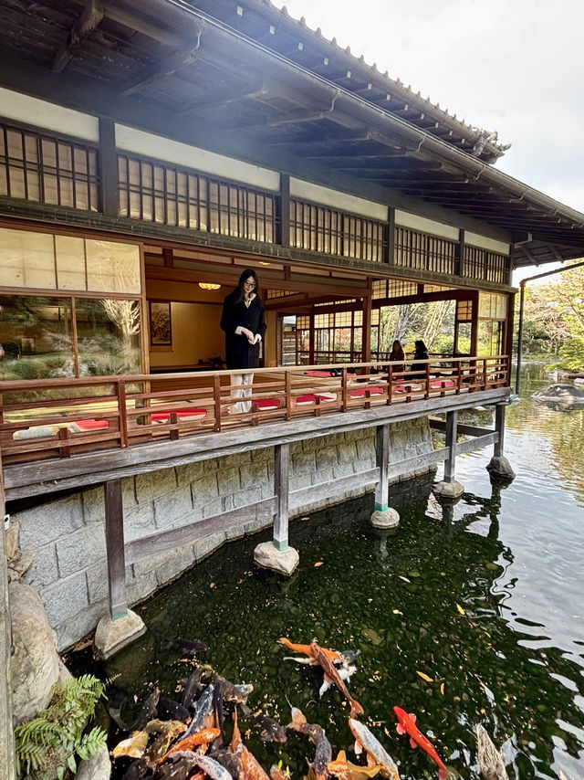 福岡｜在茶室和庭园中度过的时间🍵 ​​​