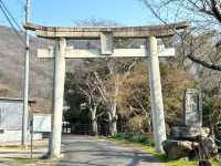 🇯🇵【香川県】重要文化財！神谷神社⛩️(^^)