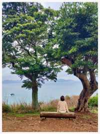 วิธีเดินทาง: Fukuoka -> Nokonoshima Island Park