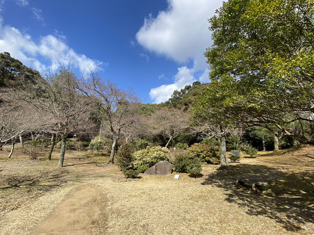 嵐山公園三月份嘅特別風情