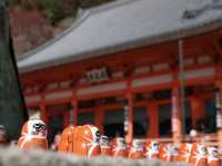 "Katsuoji temple" วัดดารุมะแห่งเมือง Osaka 