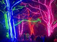 Chester Zoo