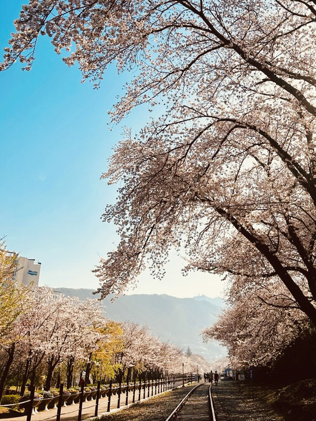 A Must-Visit for Train and Nature Lovers!