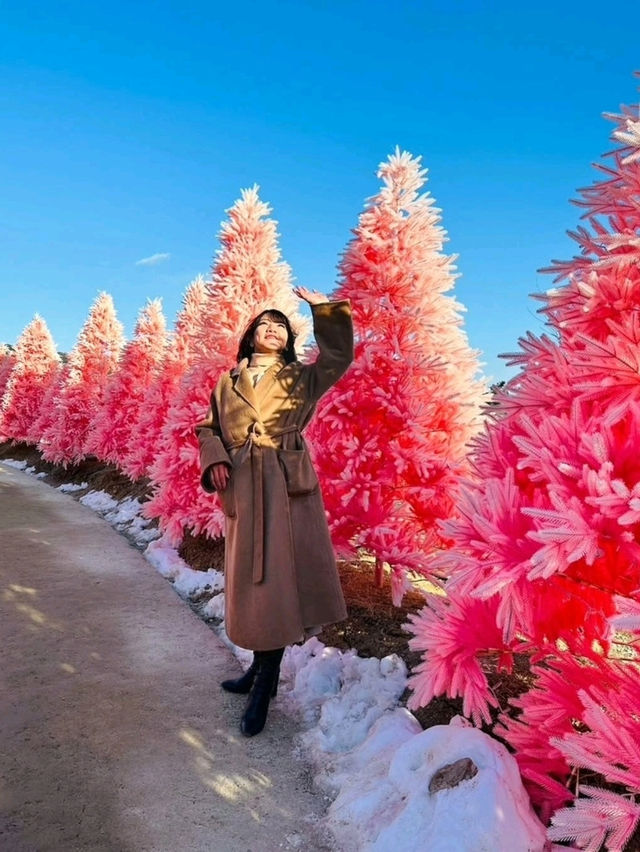 首爾 Herbisland 抱川香草花園