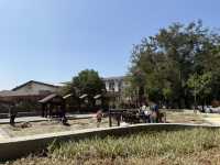 臺中 后里森林園區 🆕 最新公園開放囉～多種溜滑梯還有搖椅可以chill一下！