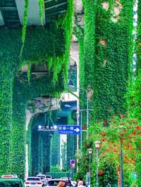 Chill by the Lake in Chengdu