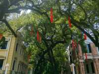 Exploring the Charm of Shamian Island, Guangzhou