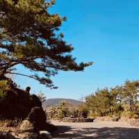Spring's Photographic Art Garden 