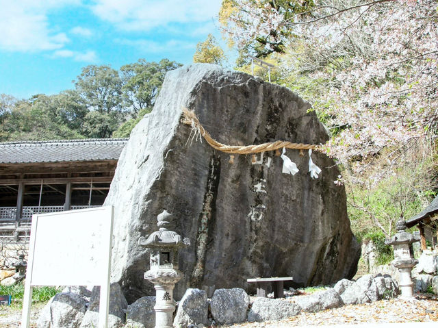 Chasing Sakura at Kawara Shrine