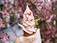 Springtime in Tokyo: Daikanyama TENOHA🌸