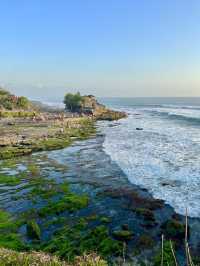 Spring Trip to Bali: Tanah Lot Temple🍃