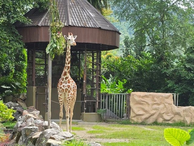 Must-visit places in Zoo Negara Malaysia