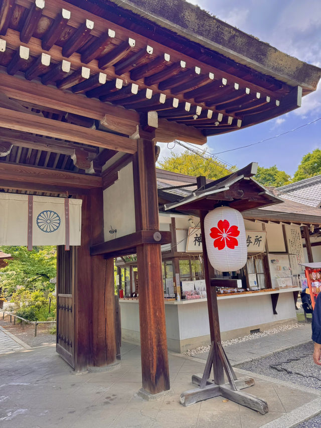 🏯 교토 필수 관광지 BEST 5 – 일본 전통 감성을 제대로 느낄 곳!