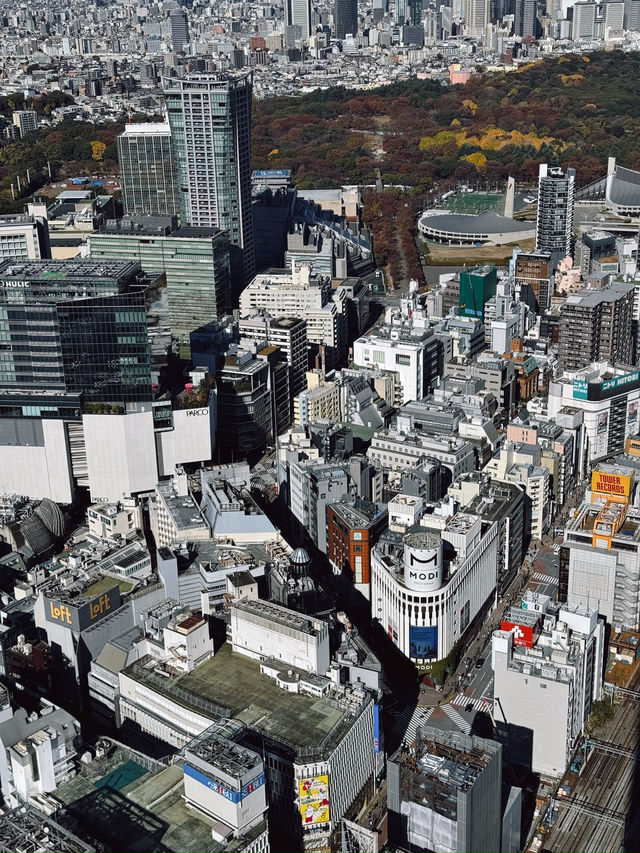 Shibuya Sky โตเกียว 360° แบบตะโกน