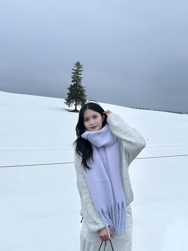 🌟【北海道美瑛聖誕樹】冬季必去的夢幻景點！✨