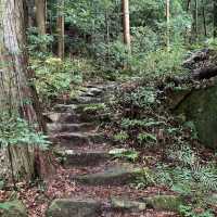 熊野古道 (Kumano Kodo, Wakayama) – 霊験あらたかな巡礼の道
