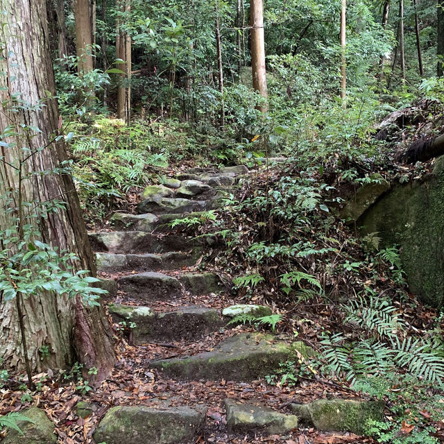 熊野古道 (Kumano Kodo, Wakayama) – 霊験あらたかな巡礼の道