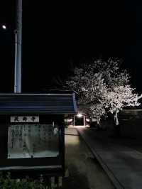 【山口グルメ】春来軒・やきそば・ばりそば
