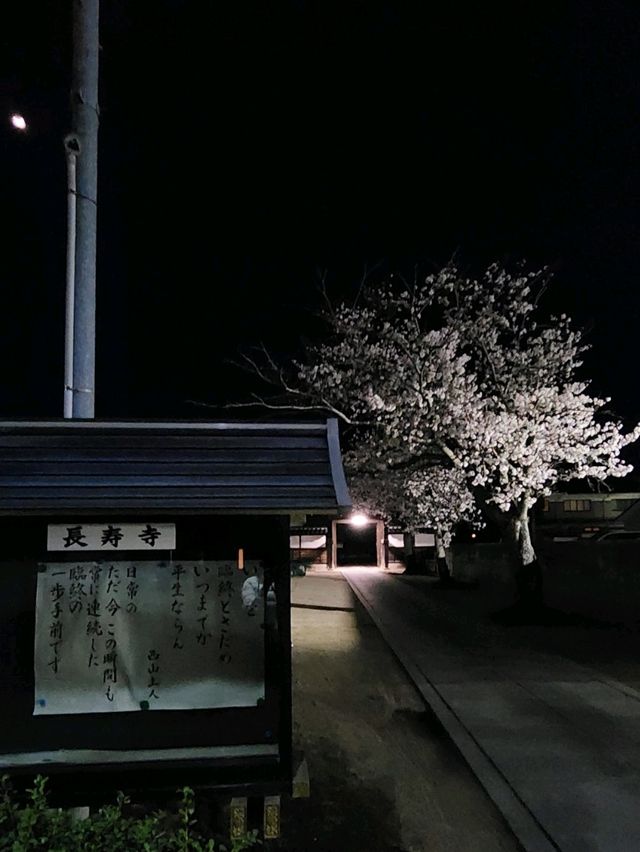 【山口グルメ】春来軒・やきそば・ばりそば