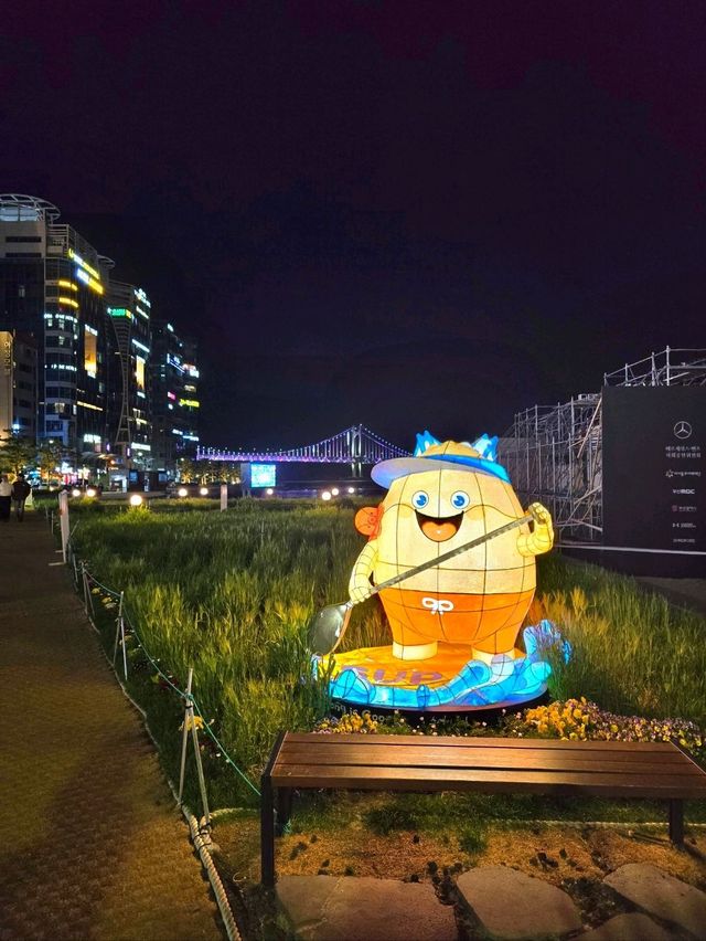 벌써 시작된 광안리 해변 청보리밭💚