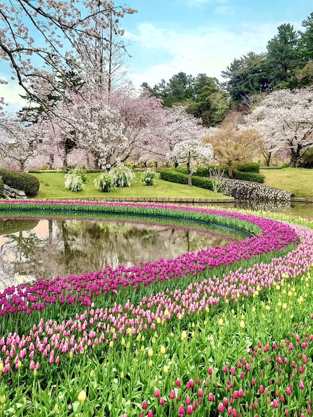 Spring Getaway: Hamamatsu Flower Park